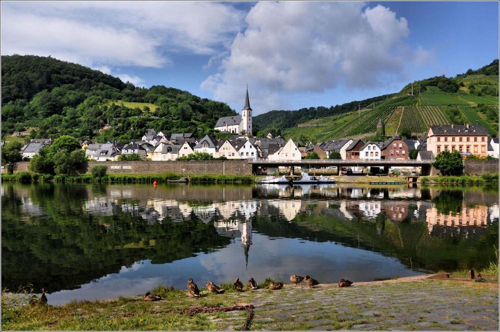 Weingut-Gaestehaus Karl Otto Nalbach Hotell Briedel Exteriör bild