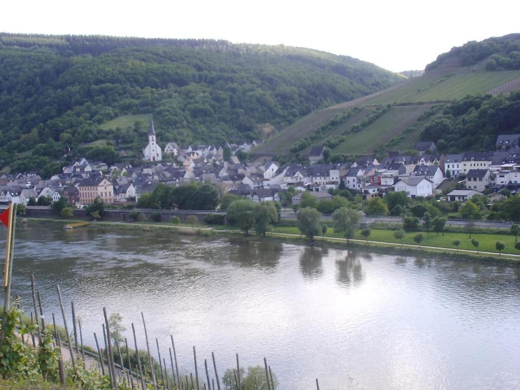 Weingut-Gaestehaus Karl Otto Nalbach Hotell Briedel Exteriör bild