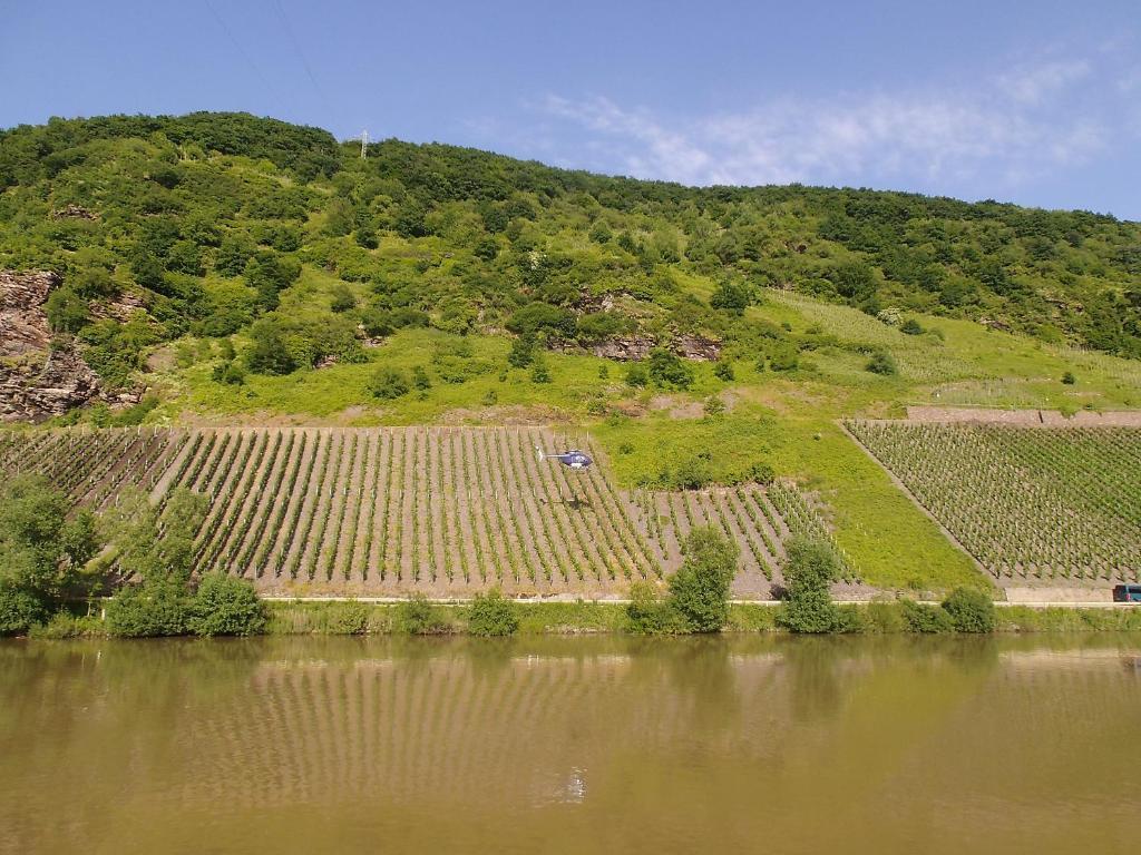 Weingut-Gaestehaus Karl Otto Nalbach Hotell Briedel Exteriör bild