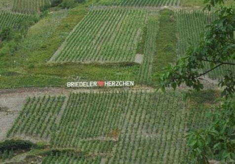 Weingut-Gaestehaus Karl Otto Nalbach Hotell Briedel Exteriör bild